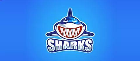 Shar's Club - Слив бизнес схем