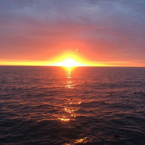 Обитель болталова