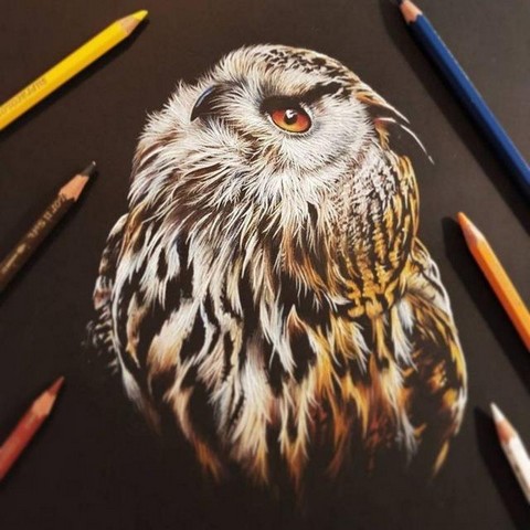 МУДРОСТЬ КНИГ