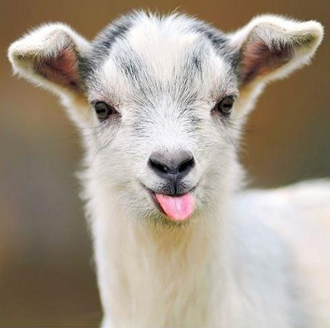 Смешное видео юмор анегдоты истории