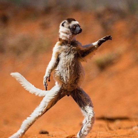 Поднимаю настроение