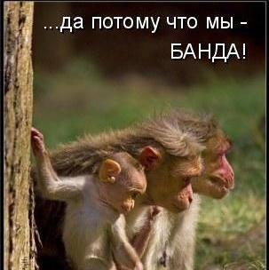 Мы банда