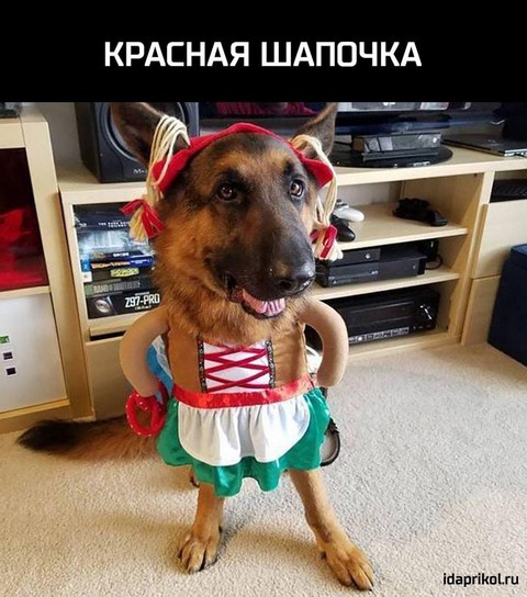 Видео Tv Приколы