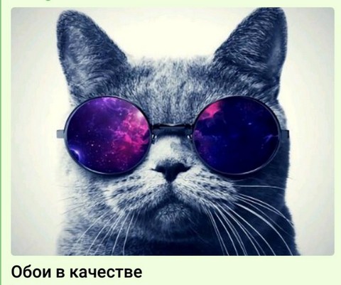 Обои в высоком качестве