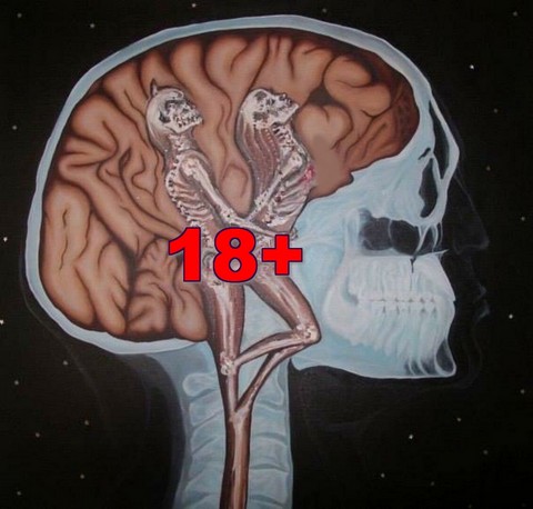 Отборный юмор и свежие новости