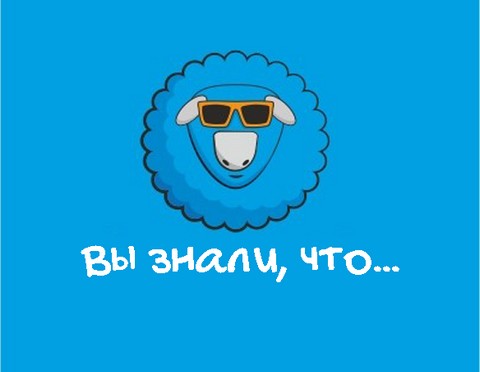 А вы знали, что...