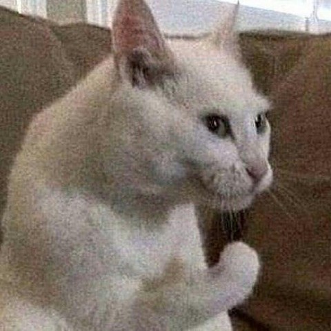 Зачем две константы