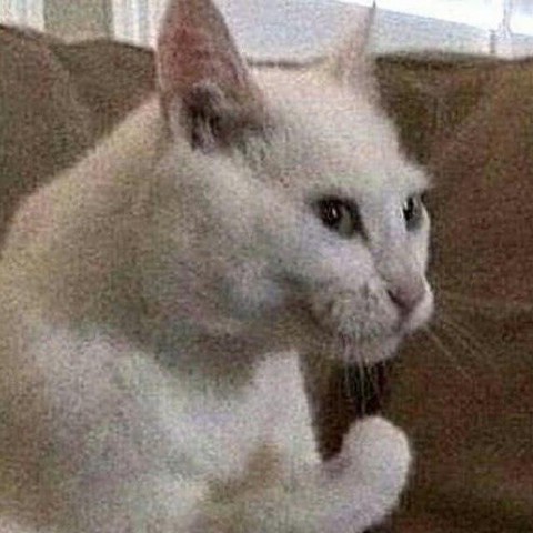 Зачем две константы