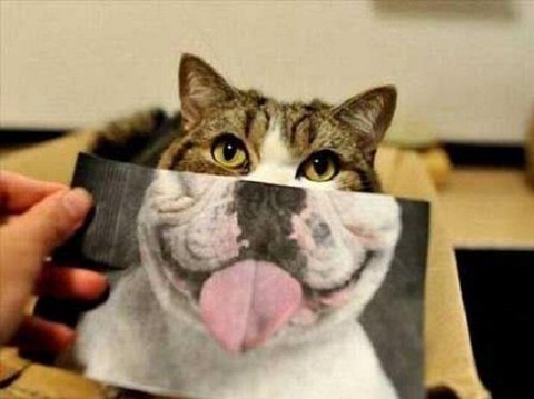 Зверьё моё ♥️