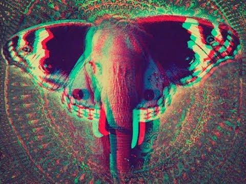 Мемуары Наркомана