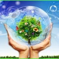 БИОЛОГИЯ | ХИМИЯ ОГЭ