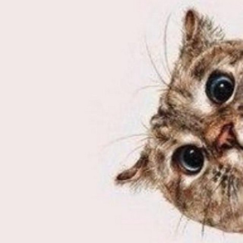 Кудрявый арт