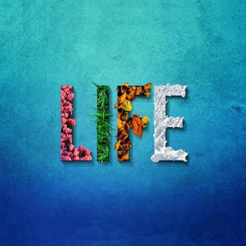 Сделать в жизни