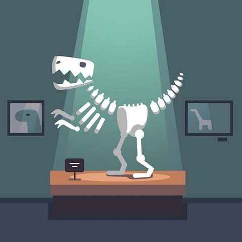 Ночь в музее