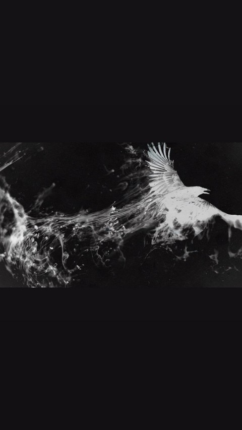 Белый ворон