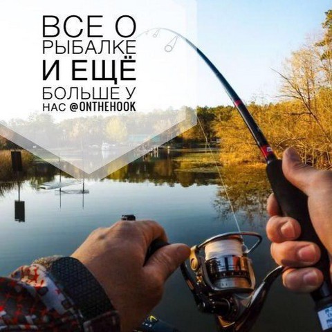 На крючке