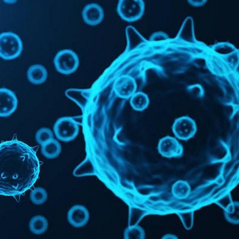 Онкодневник