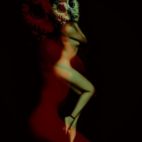 The voices of a Nakedowl