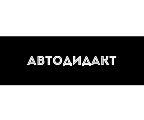 Автодидакт