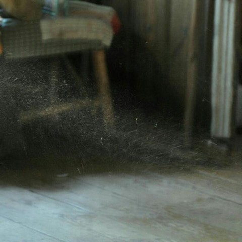 Январские разговоры о звездах