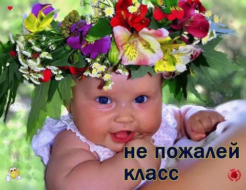 Всё для женской красоты