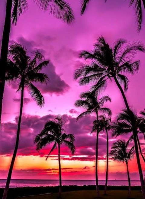 Музыка и горячие фото