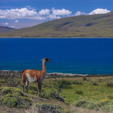 Людочка путешествует