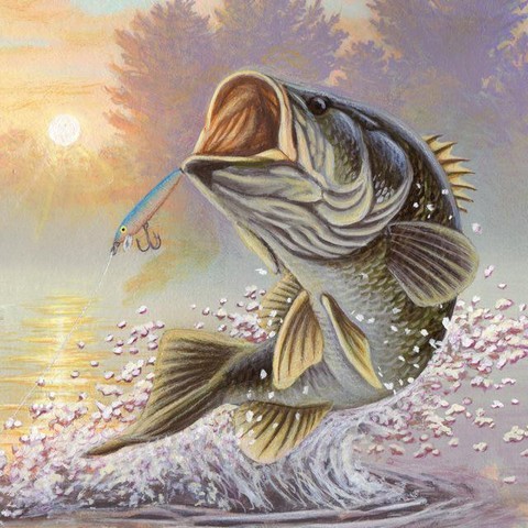 Библиотека рыболова