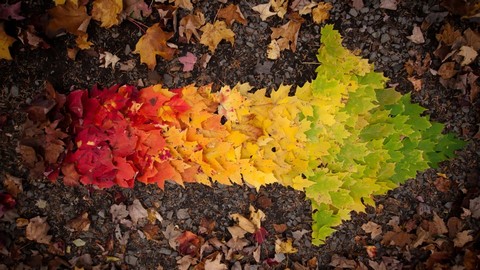 Природа России