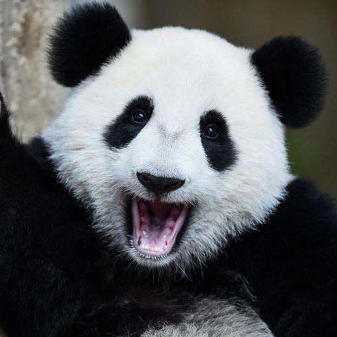 Сахалин онлайн