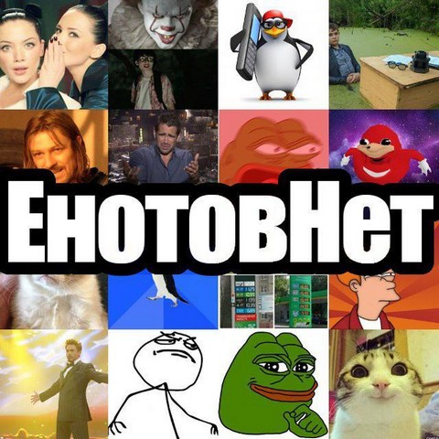 ЕнотовНет Орные мемасы и убойные гифки