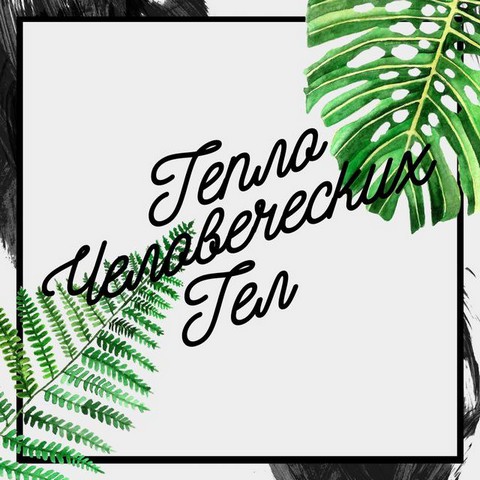 Тепло человеческих тел