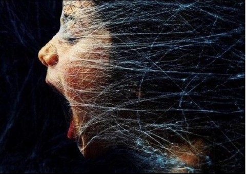 Паутина слов.