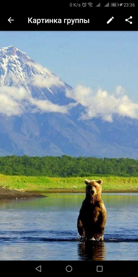 Свежие ссылки ДВ