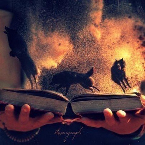 Строки пыльных книг