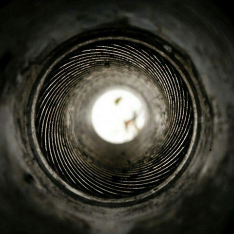 Оружие человечества