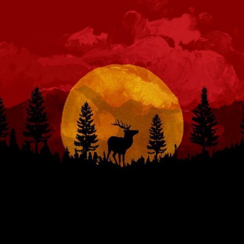 Красота ☯️