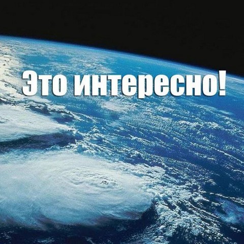 Интересные факты