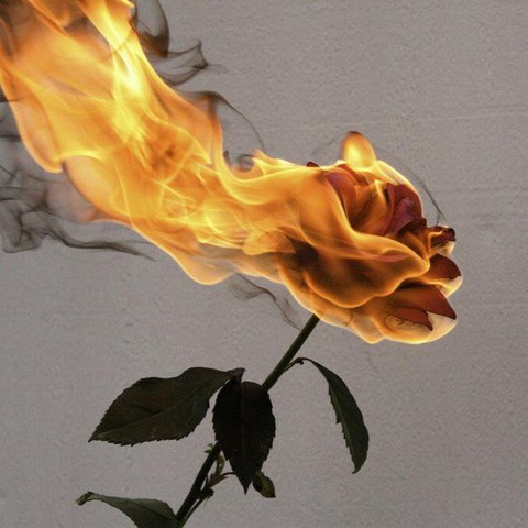 Суровые будни двух баб