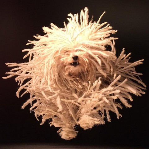 Стильно жить