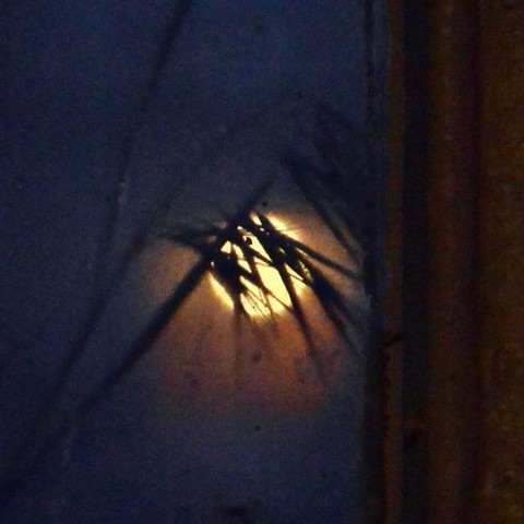 Славно закончилась бесславная жизнь