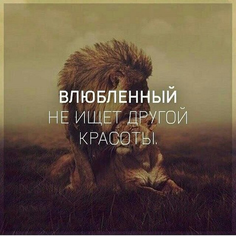 Развитие психических способностей