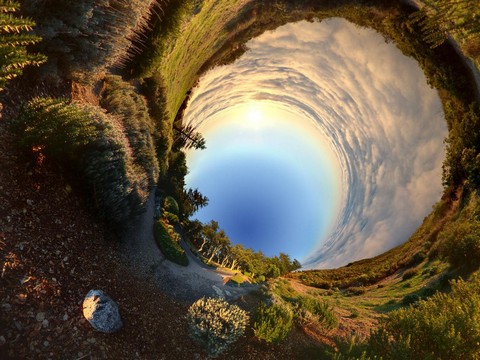 Rabbit Hole