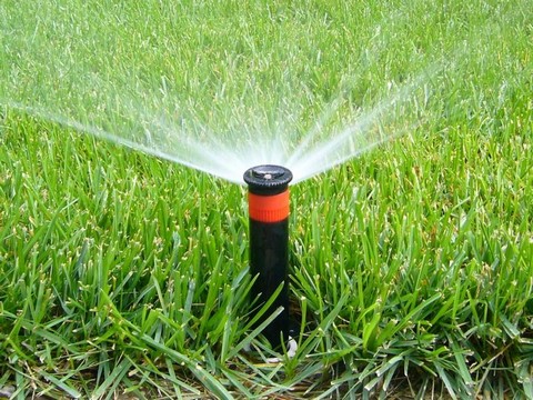 Автоматический полив