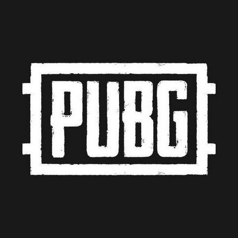 PUBG Journal