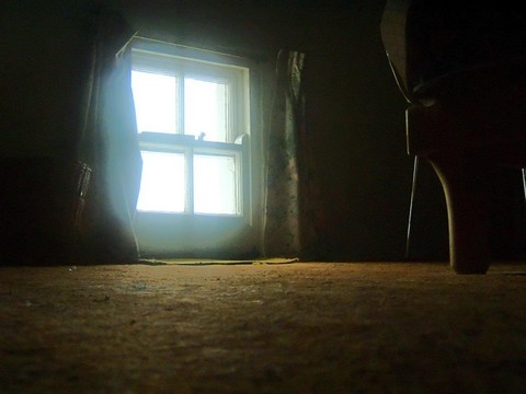 ДНЕВНОЙ СВЕТ