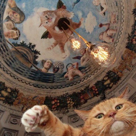 Арканеум - Готическая архитектура