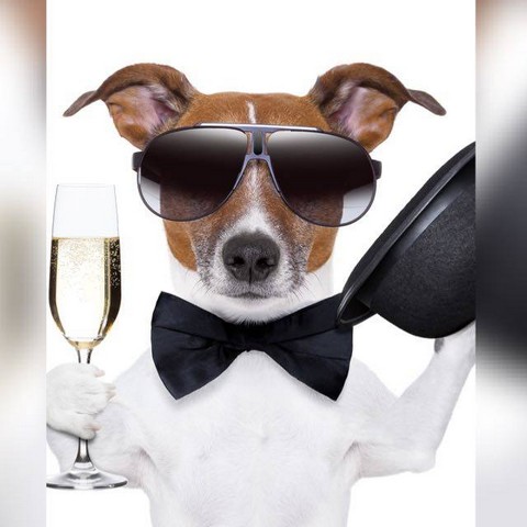 Общалка Обо всем на свете