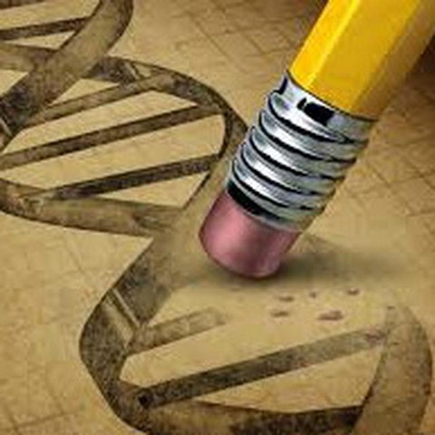 Молбиол, биотех, биохимия