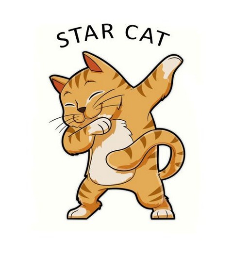 StarCat.Gif